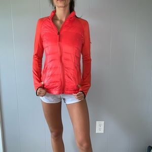 CALVIN KLEIN Zip-Up Athletic Jacket